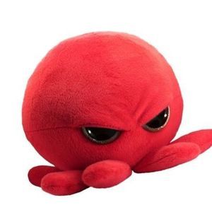 Meet your Posher, Ginny